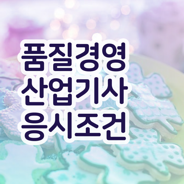  품질경영산업기사 독학 품질경영산업기사 시험자격 인강만 듣고 쉽고 빠르게 준비한 전략