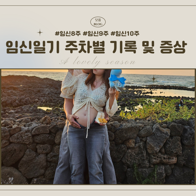  [임신-3] 임신초기 8주차 9주차 10주차 증상 시기 갈색혈 피고임 젤리곰 초음파 시기