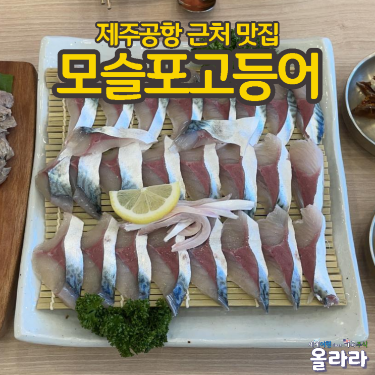  제주공항 근처 고등어회 맛집 모슬포고등어