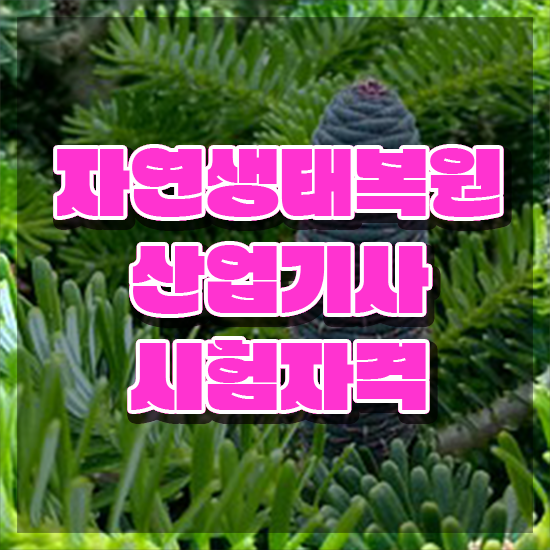  자연생태복원산업기사 취득자격 인강으로 쉽고 빠르게 준비한 팁