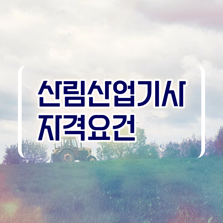 산림산업기사 시험 산림산업기사 자격요건 온라인 과정으로 4개월 만에 끝낸 전략