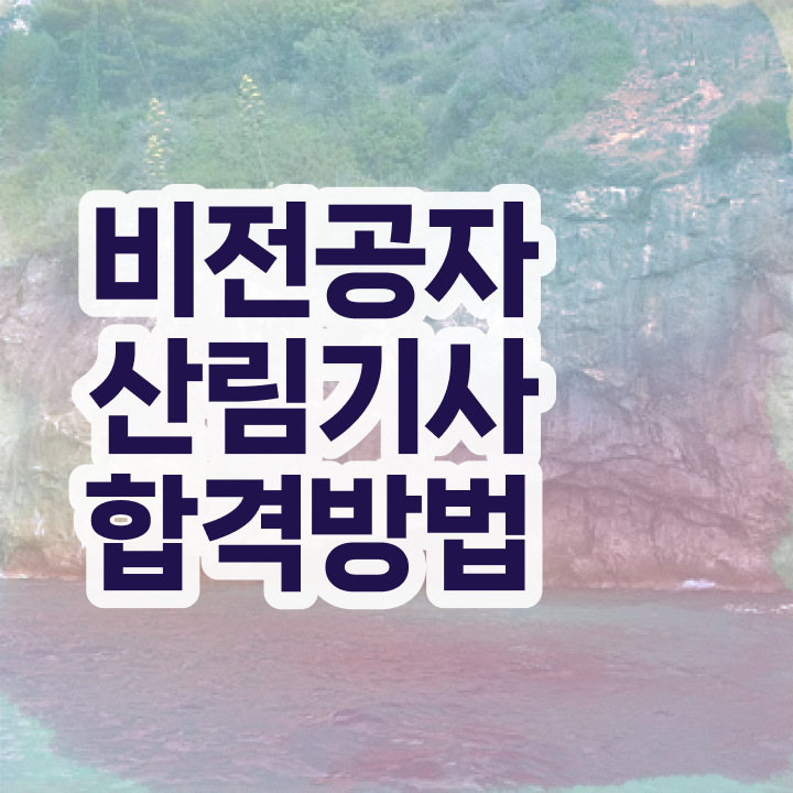  산림기사 응시조건 산림기사 시험응시조건 학점은행제로 4달 안에 완료한 방법