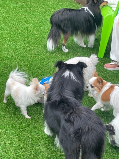 사진 5