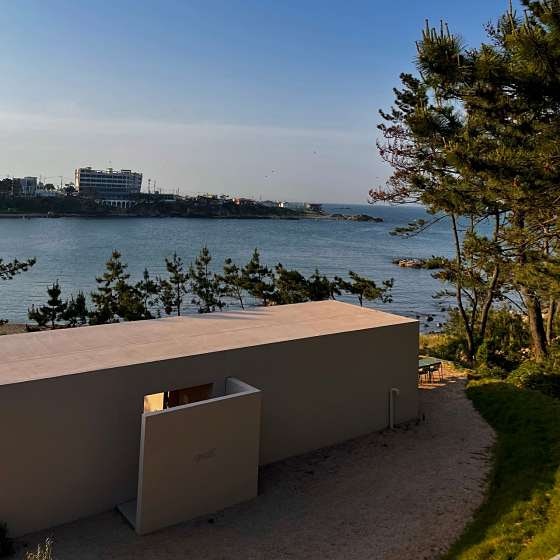 사진 4