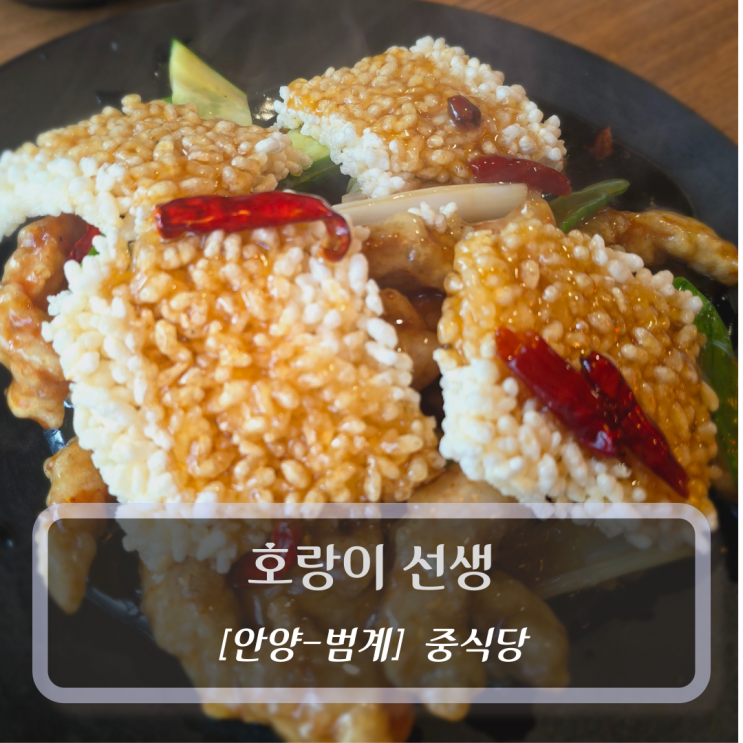  [안양-범계, 중식당] 호랑이선생 - 범계역 맛집 내돈내산 후기