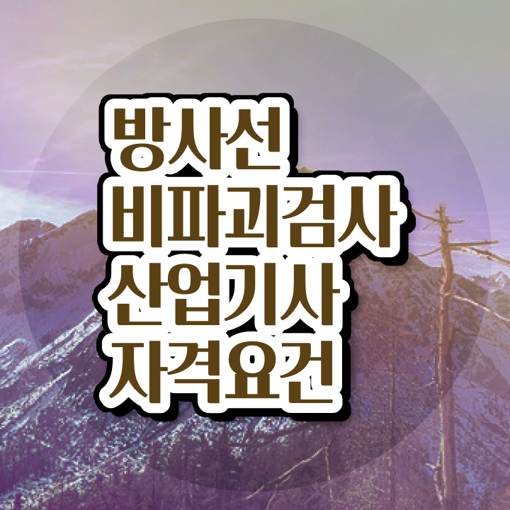  방사선비파괴검사산업기사 취득자격 온라인 수업으로 15주 동안 준비한 팁