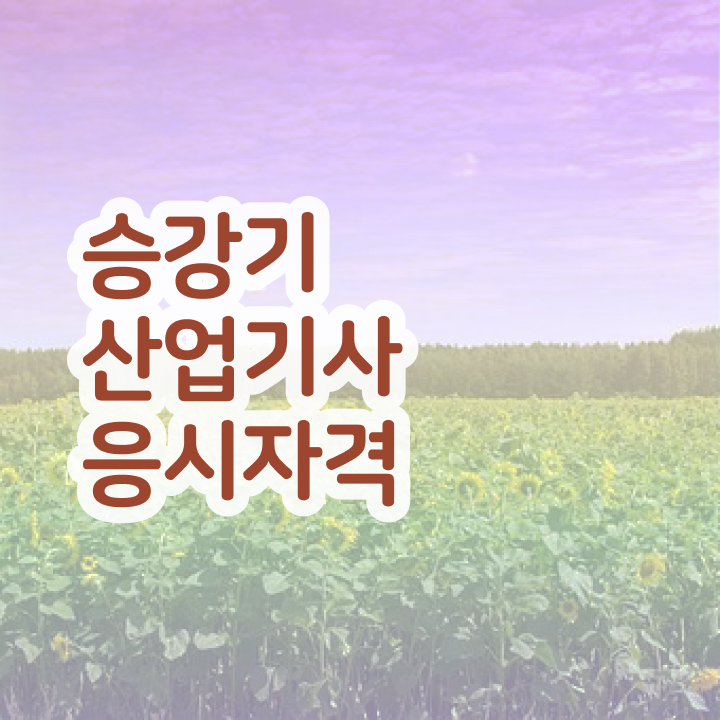  승강기산업기사 취득자격 집에서 온라인으로 4개월 만에 끝낸 과정