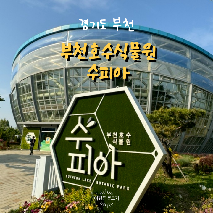  수피아 부천호수식물원 경기도 부천 상동호수공원