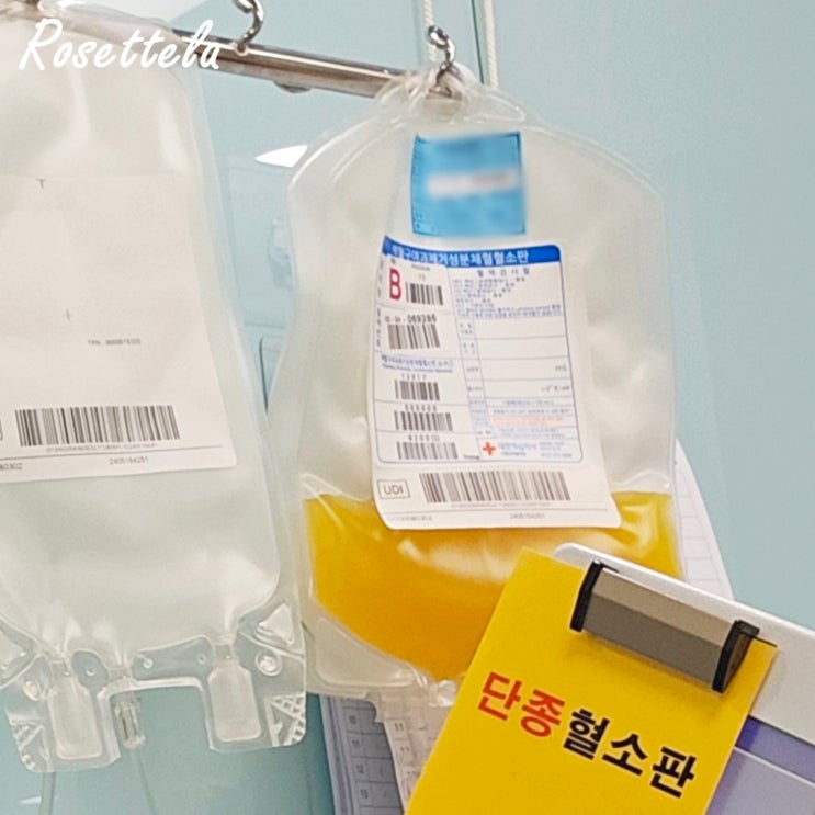  45번째 혈소판 헌혈 시간 주기 사은품 지정헌혈 방법