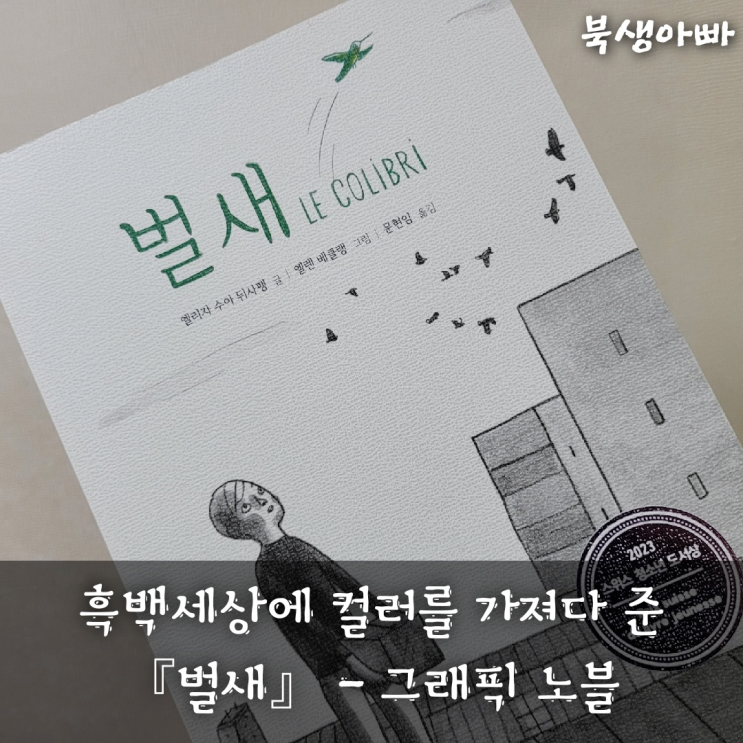  상실 책｜그래픽 노블｜소설 벌새｜스위스 청소년 도서상