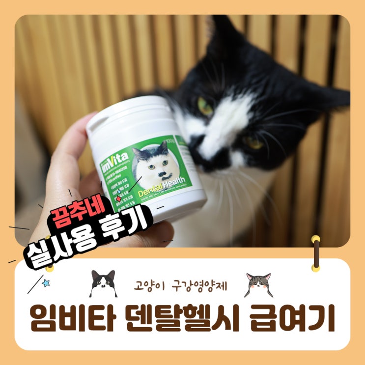  고양이 구강영양제 달달이네 임비타 알고계신가요?