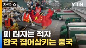 상상초월 손실에도…공식 깨부수는 中 '총공격' 상상초월 손실에도…공식 깨부수는 中 '총공격'