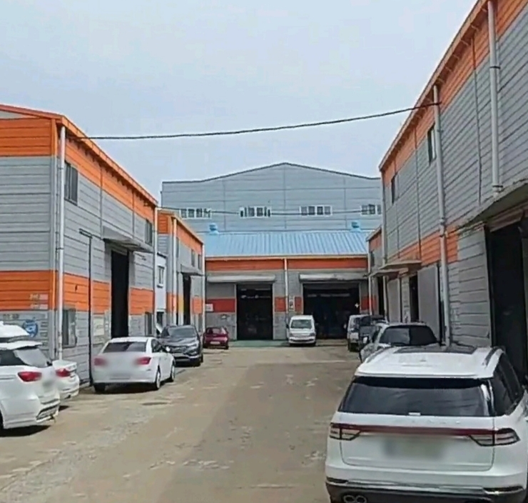  김관채 고양이탐정 후기/ (인천 남동구) 5초 컷/공장에서 잃어버린 고양이 구조 성공