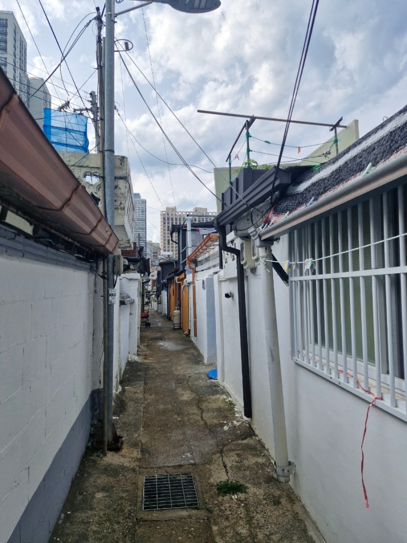 사진 7