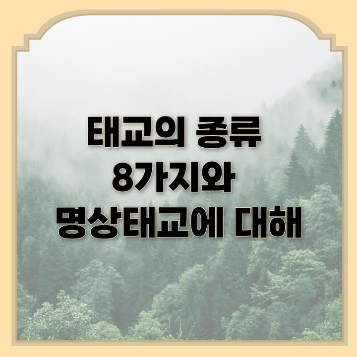  태교의 종류 8가지와 명상태교에 대해