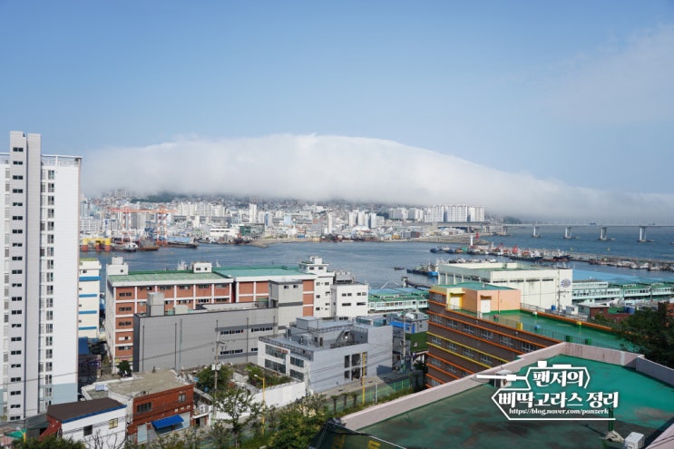  해무로 뒤 덮힌 부산 영도