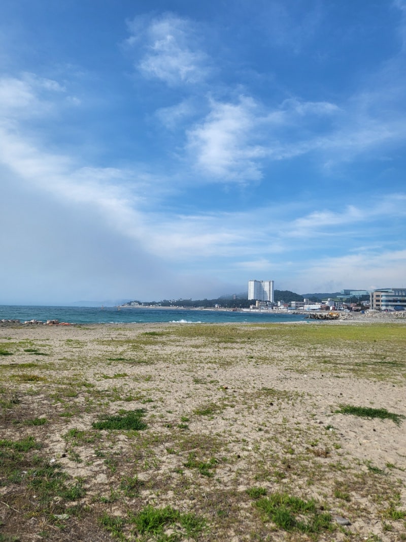 운동하다가 어깨 다쳤을 때 | TikTok, image size:800x1067