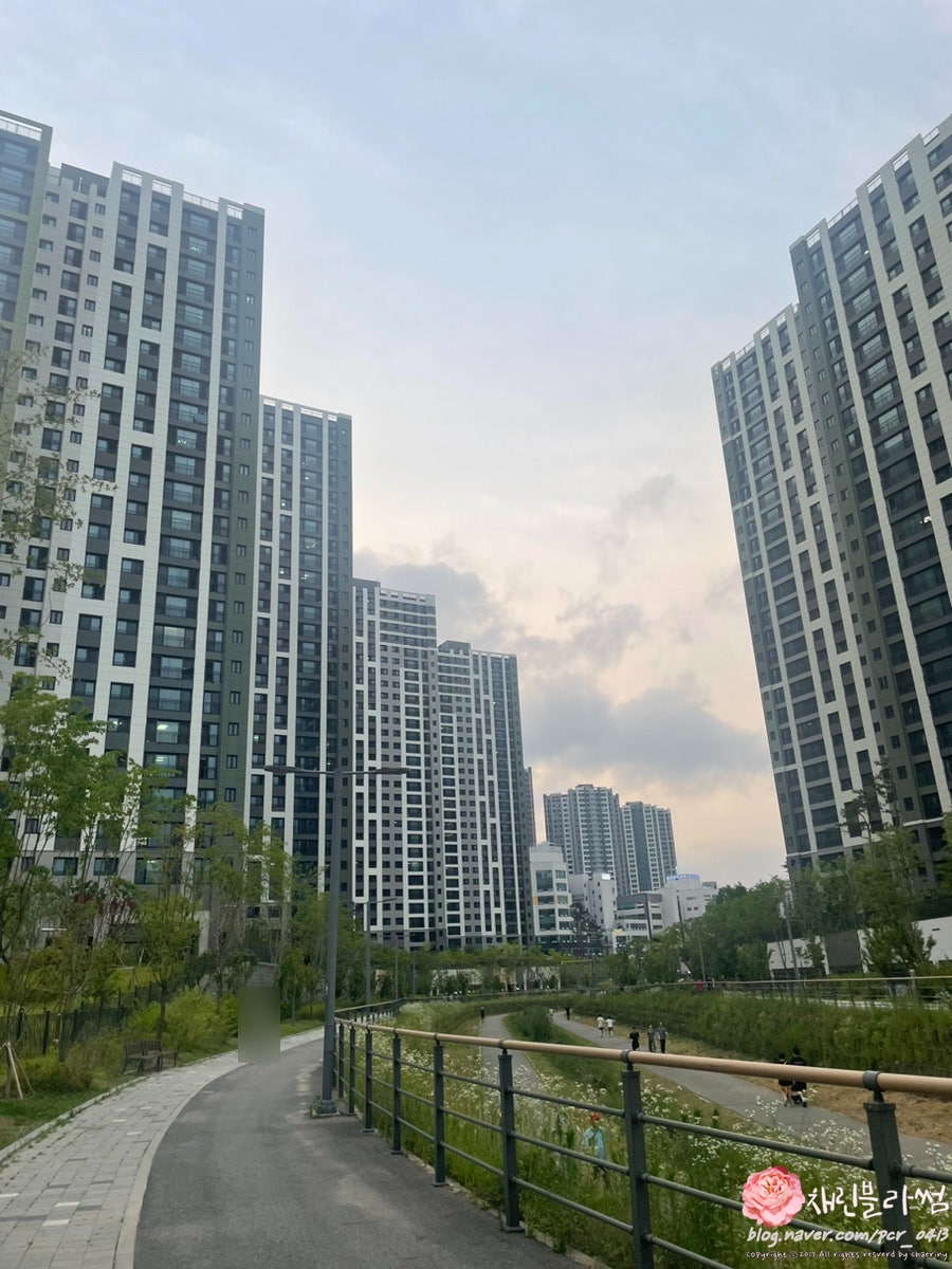 카페퍼플민트 사진 2