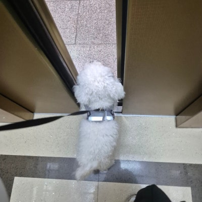 사진 4