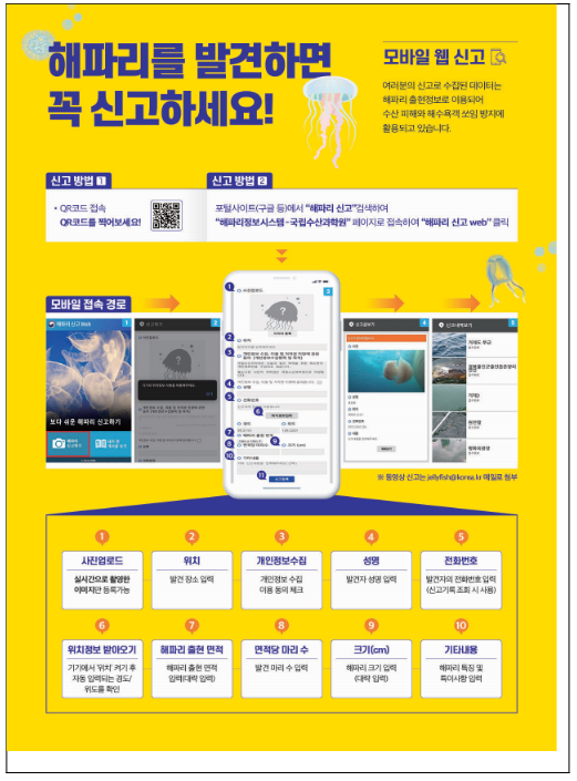노무라입깃해파리 주의단계 특보 발령 노무라입깃해파리 주의단계 특보 발령