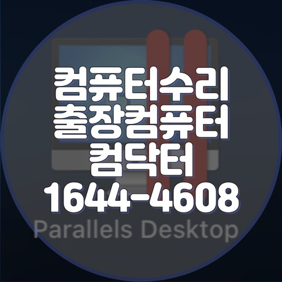  분당동 원격 프로그램 설치 대행 서비스의 모든 것