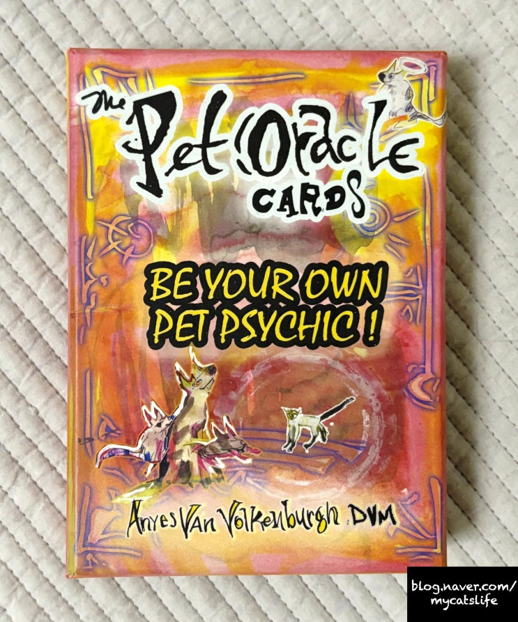  펫오라클 카드로 고양이의 마음 들여다보기(강아지 고양이 심리 추측) ThePet! Oracle Cards