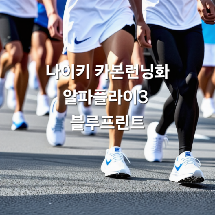  나이키 카본 런닝화 알파플라이3 블루프린트 성공