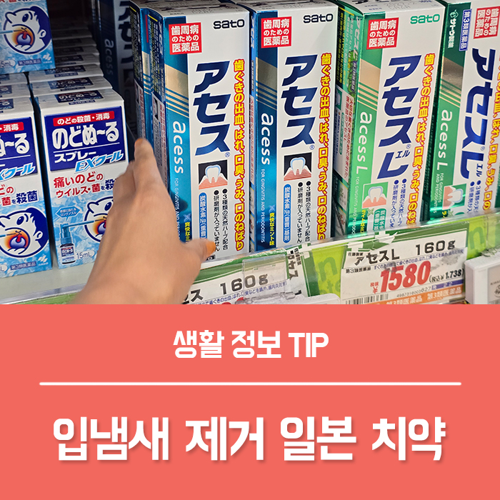  일본 치약 추천, 입냄새 제거 치약 사토 아세스 치약 치석제거 효과는?
