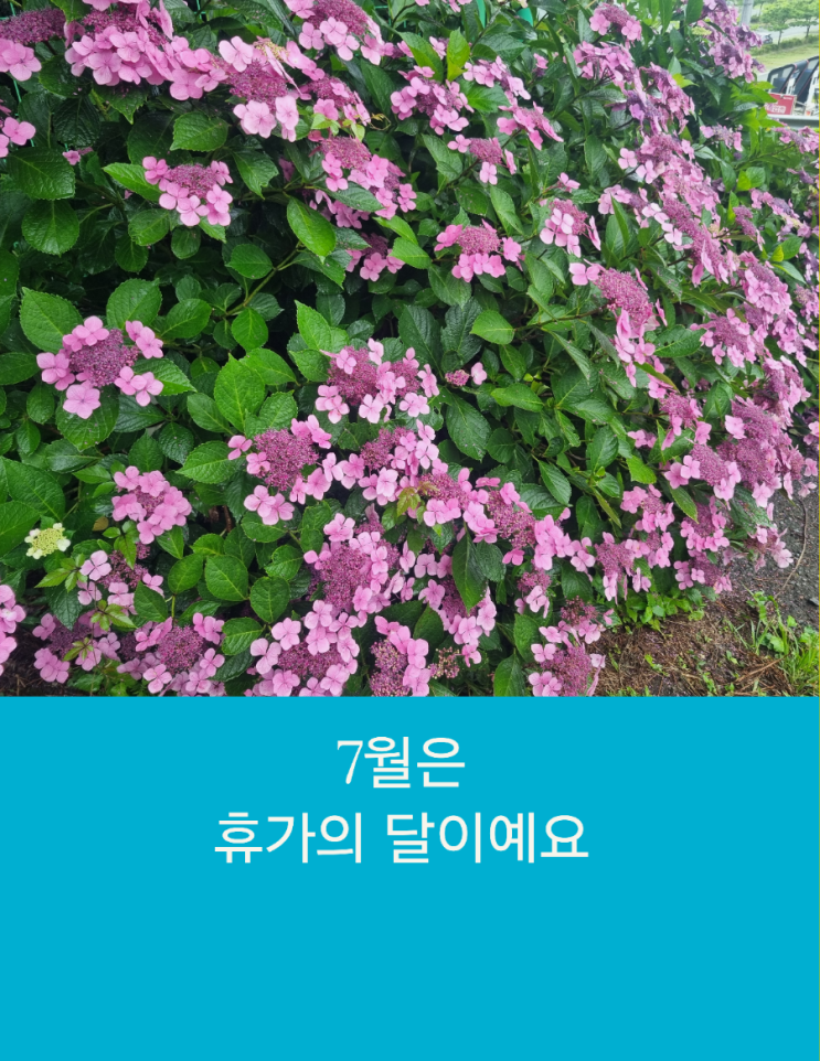  부산관광택시 7월은 휴가의 달이예요
