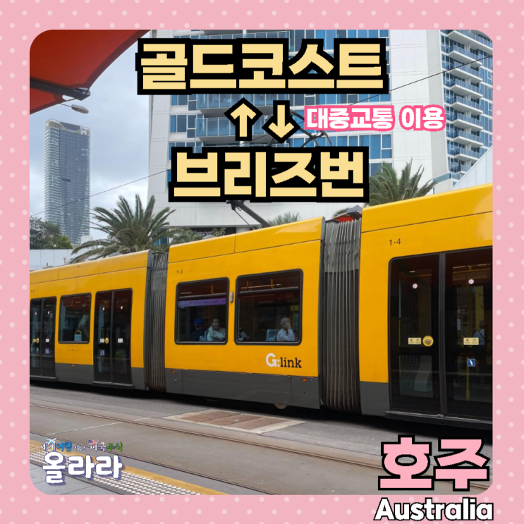  호주 골드코스트 브리즈번 대중교통 이동방법 트램 기차 고카드