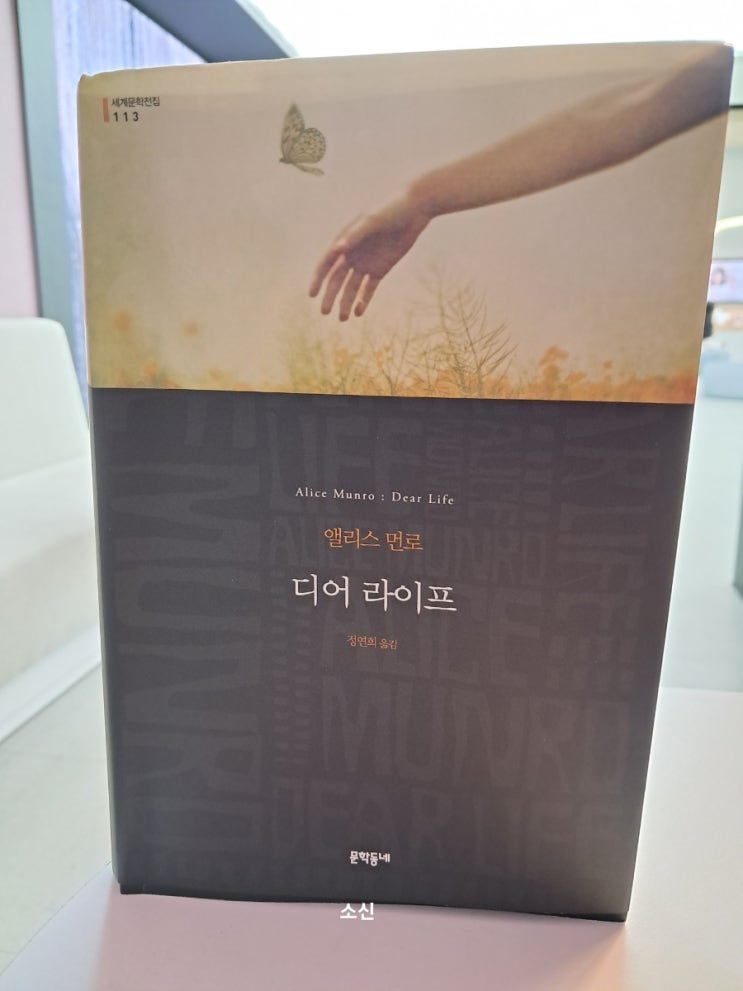 디어 라이프_ 앨리스 먼로 단편집 디어 라이프_ 앨리스 먼로 단편집
