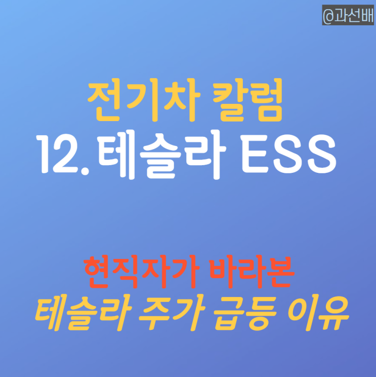  현직자가 바라본 테슬라 주가 전망 (ft. ESS와 2분기 실적)