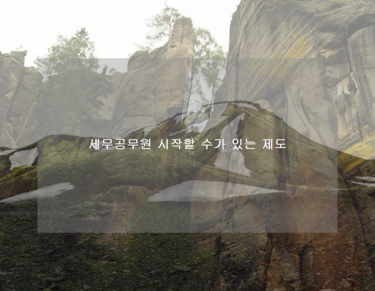 세무공무원 시작할 수가 있는 제도 세무공무원 시작할 수가 있는 제도