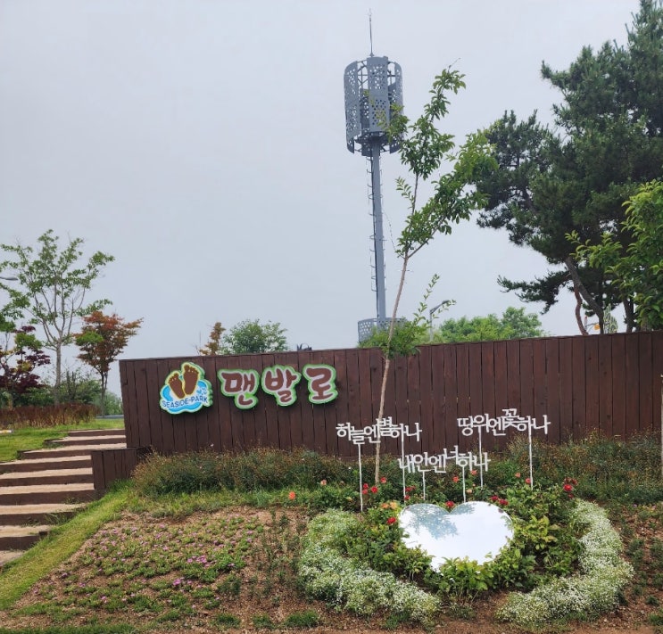 나의 건강은 내가 챙긴다-영종도 맨말걷기 씨사이드파크 맨발로-갤러리파이영종,해수족욕장 나의 건강은 내가 챙긴다-영종도 맨말걷기 씨사이드파크 맨발로-갤러리파이영종,해수족욕장