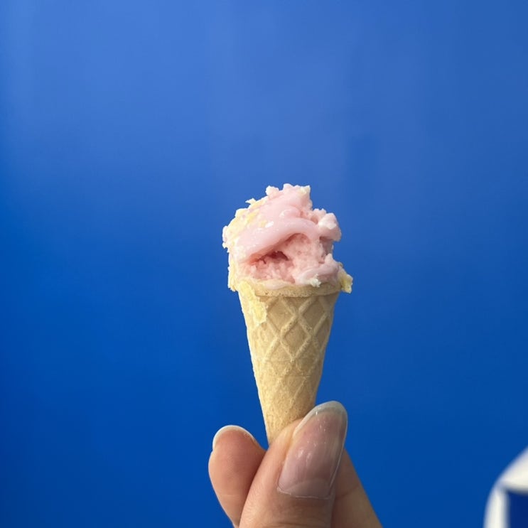 야무진 5월 야무진 5월