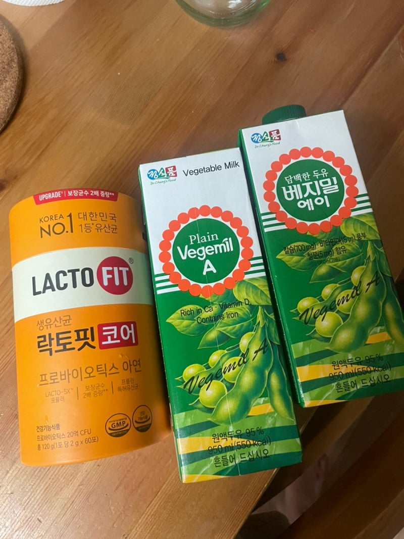 두유 그릭요거트 만들기 락토핏 베지밀 베어그릭스 요거트 메이커