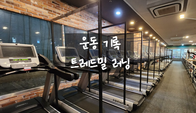  [2024. 07. 01 ~ 02 일상] 이번 주 오운완 마라톤 연습 위한 헬스장 트레드밀 러닝
