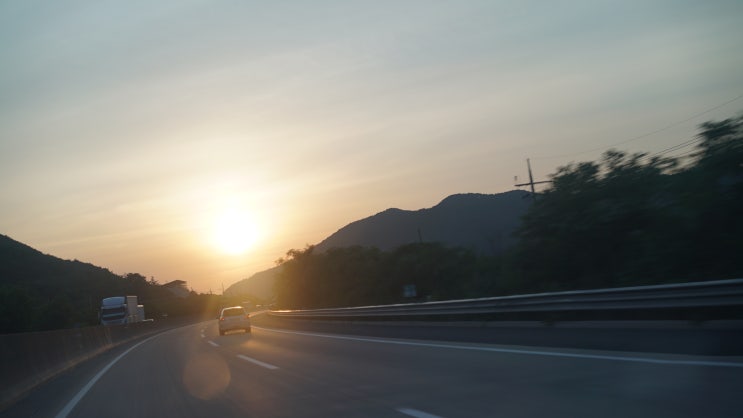  제주도흥신소 선택 가이드: 전문가의 조언