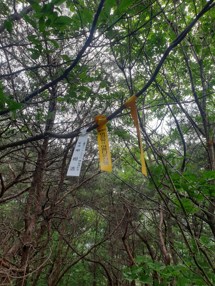 도래산 사진 6
