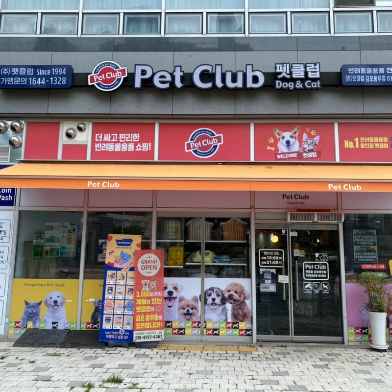 사진 8