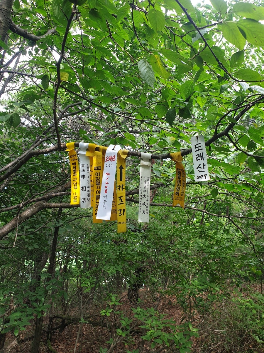 도래산 사진 4