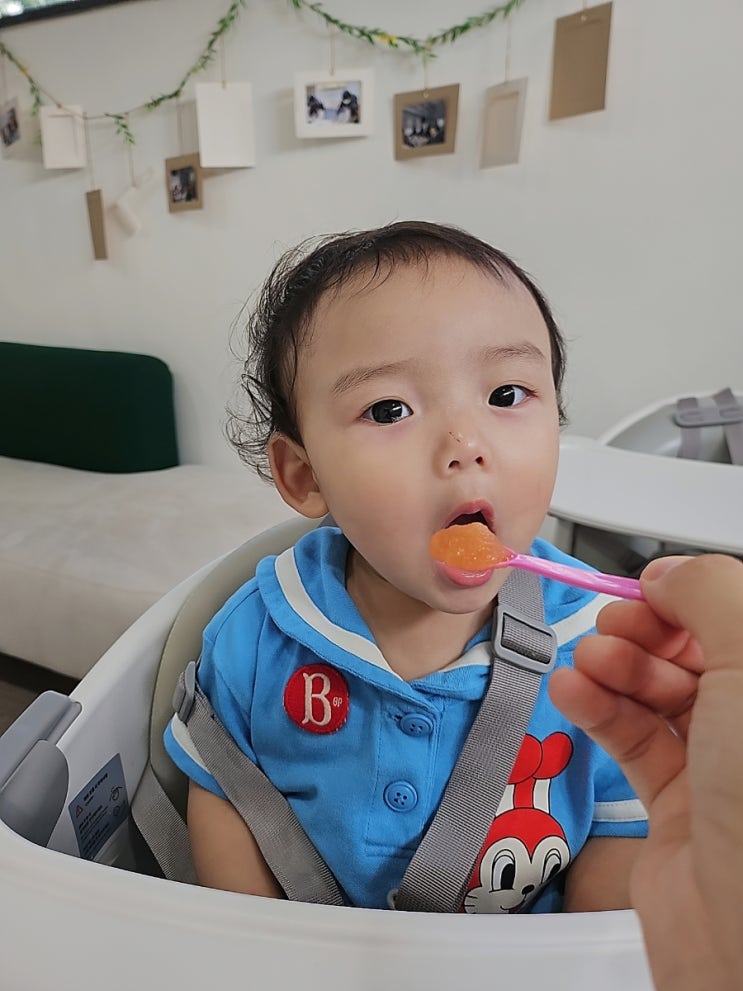  아기 과일퓨레 야채 과일 골고루 먹는 최저당도 푸른마루