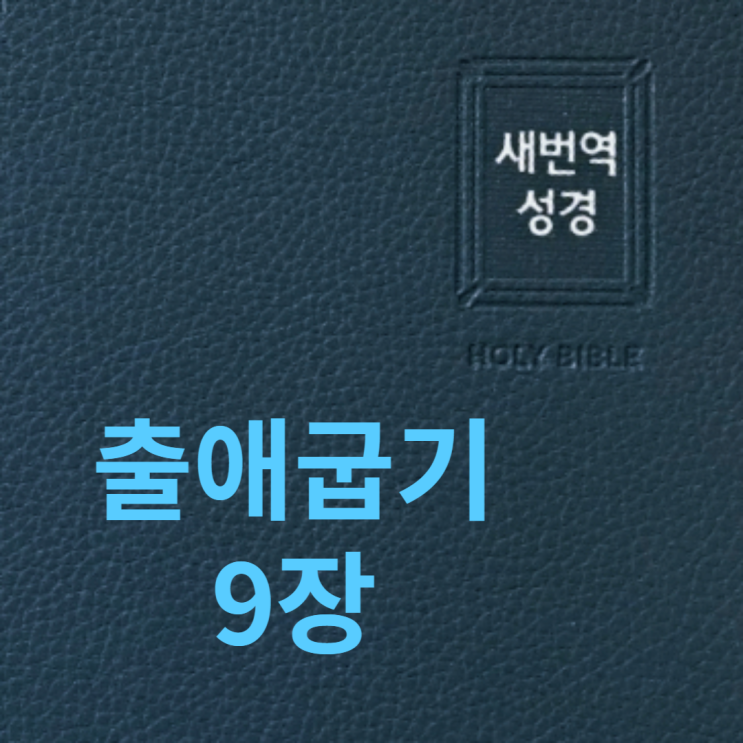출애굽기 9장 출애굽기 9장