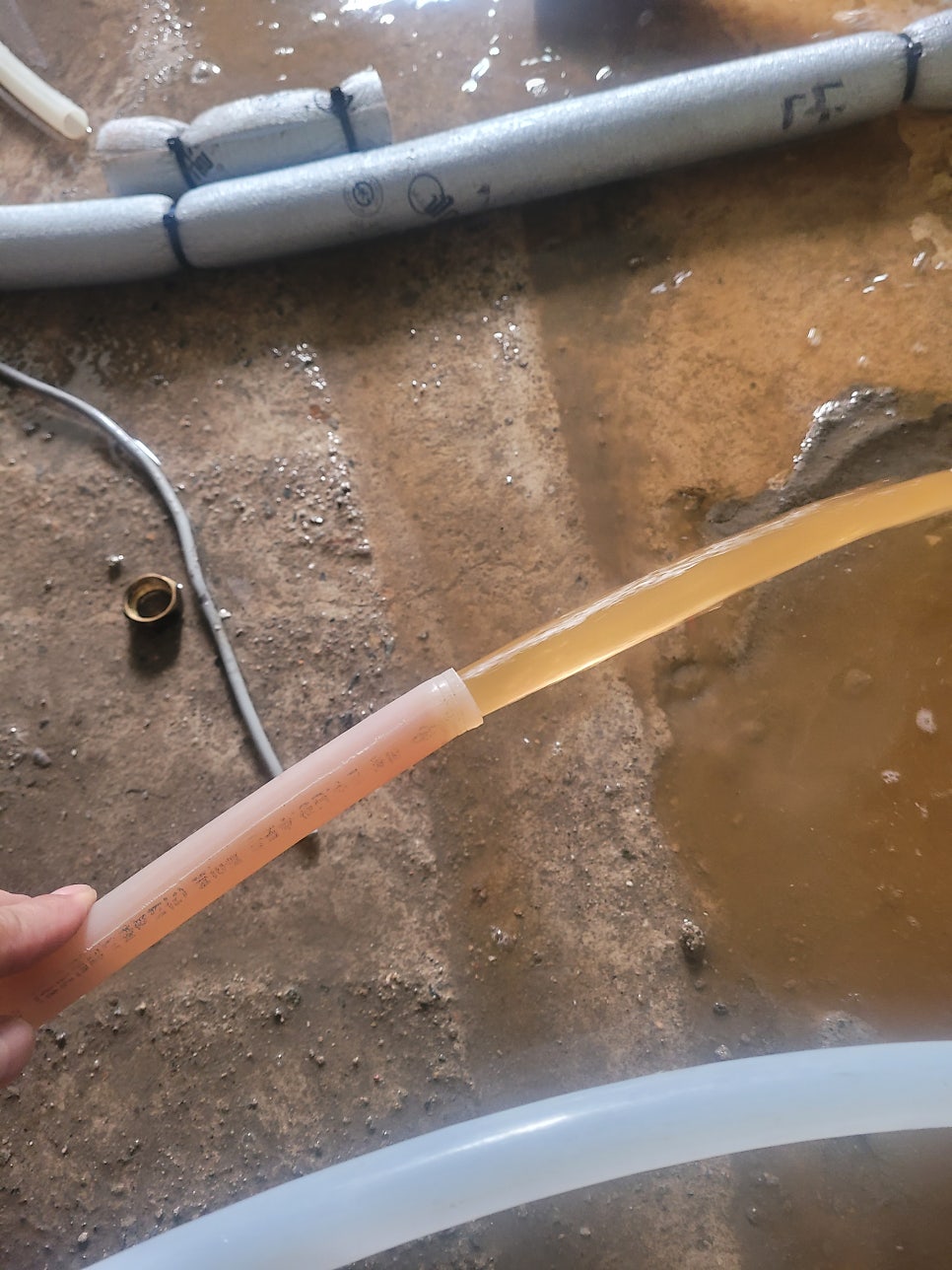 커피앤머핀 사진 5