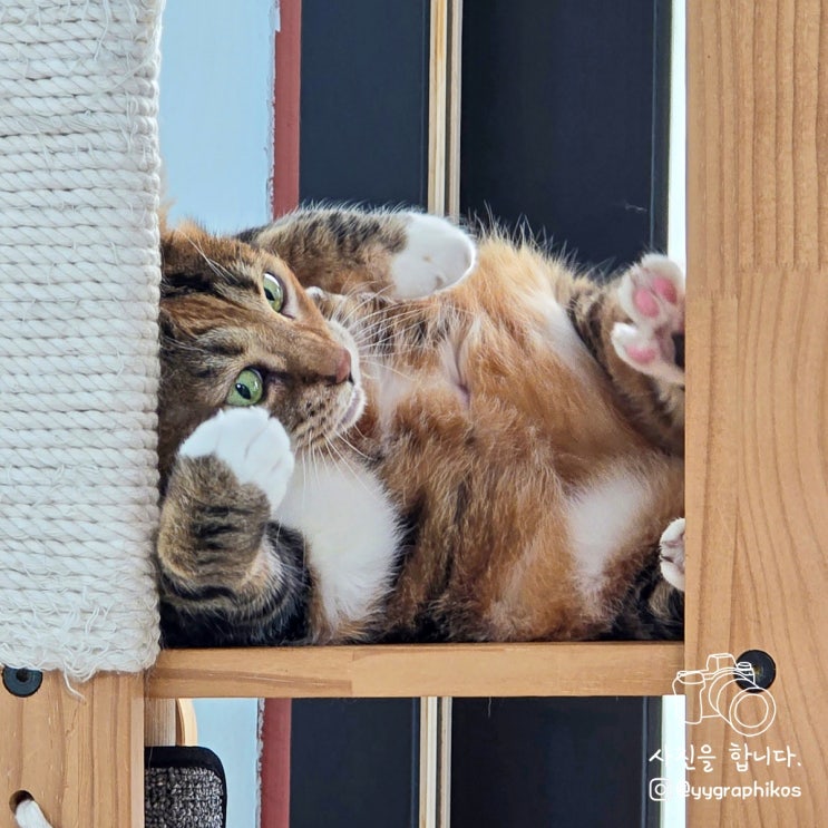 2주 차 : 별일 많게 산다?