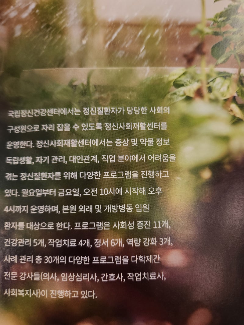 대구 토요코인호텔 동성로점 숙박, 조식 후기 24.7.5~6 : 네이버 블로그