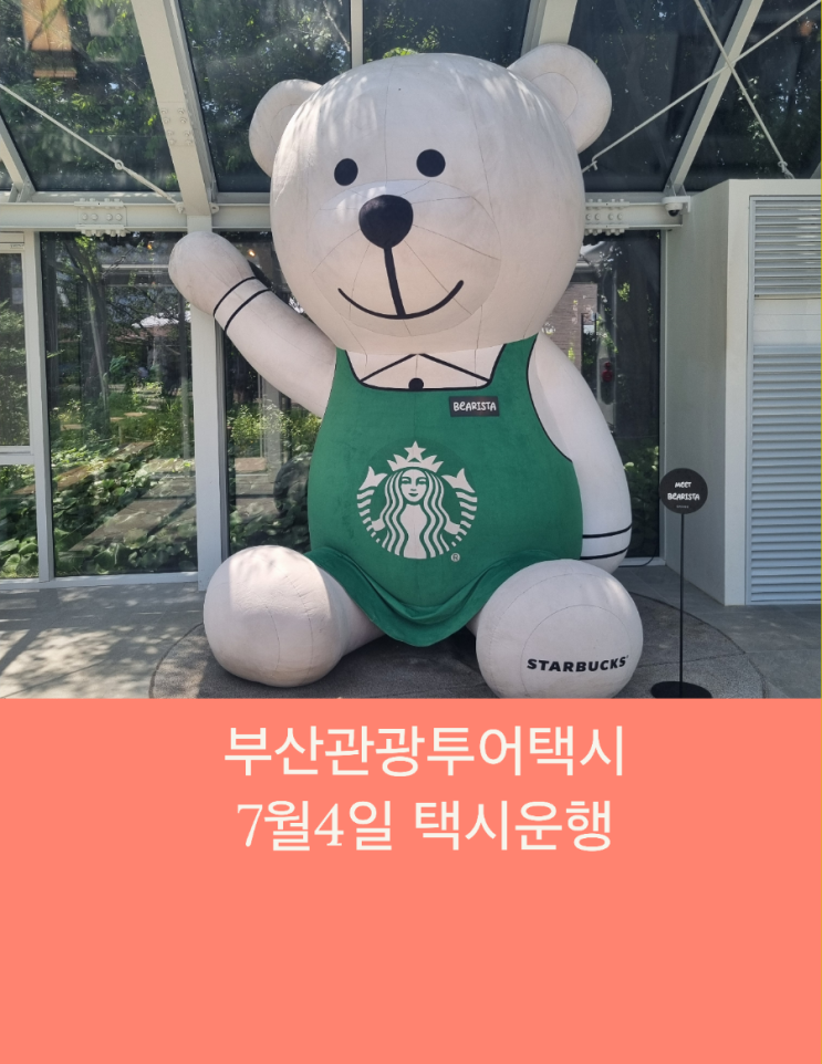  부산관광택시 숨은맛집 숨은여행지 숨은카페만 추천드려요