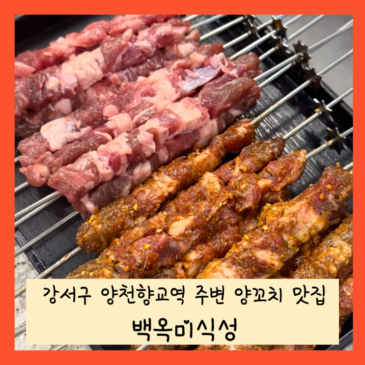  서울 강서구 양천향교역 주변 양꼬치 맛집 백옥미식성