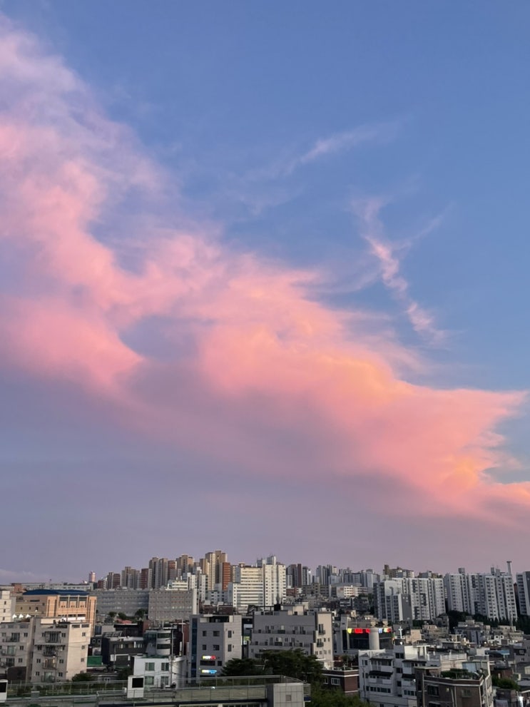  내 일상 속 소확행들