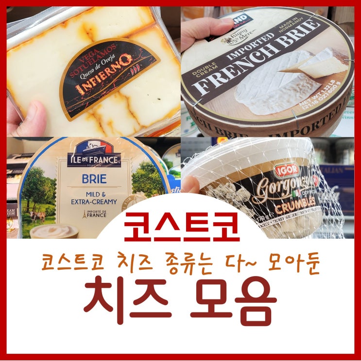  코스트코 치즈추천 종류 가격 리코타 까망베르 고다 고르곤졸라 마스카포네 크림치즈